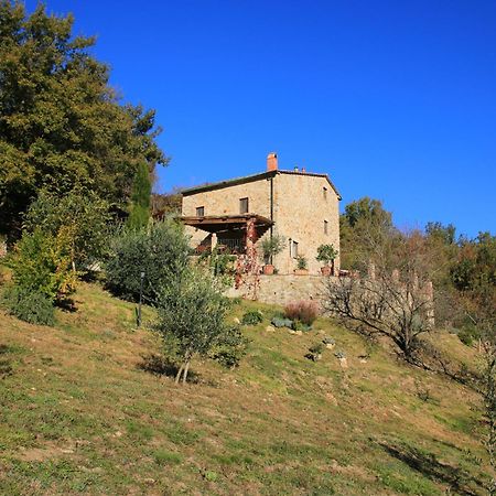 Podere Piandicava Castelnuovo di Val di Cecina Bagian luar foto
