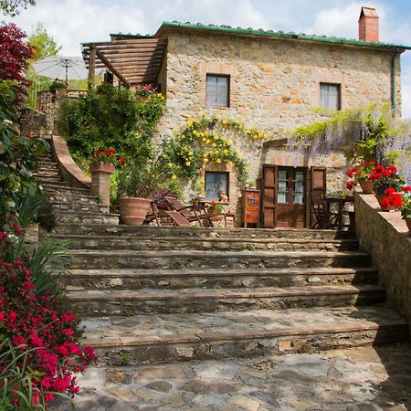 Podere Piandicava Castelnuovo di Val di Cecina Bagian luar foto