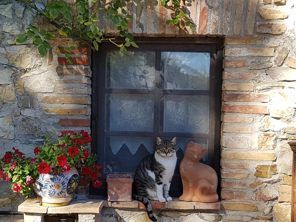 Podere Piandicava Castelnuovo di Val di Cecina Bagian luar foto