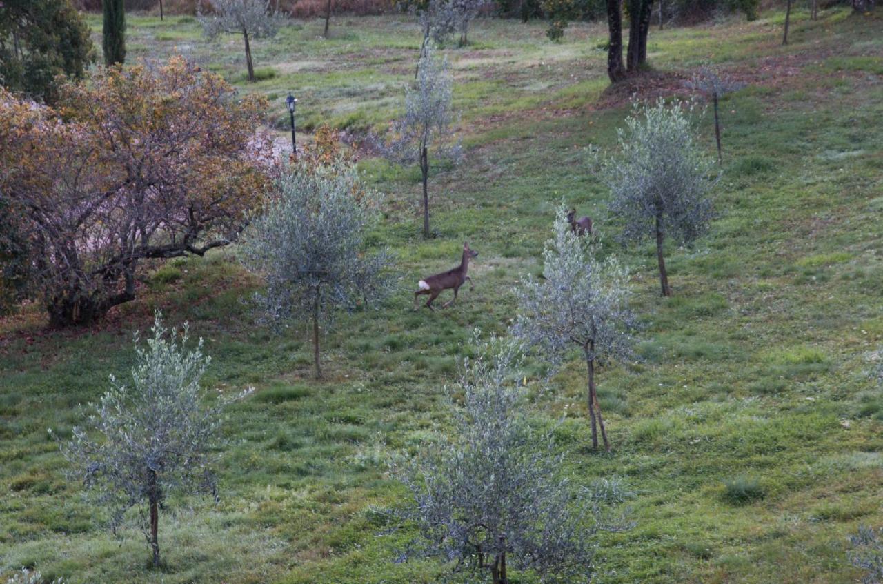 Podere Piandicava Castelnuovo di Val di Cecina Bagian luar foto